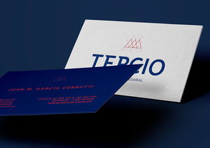 Tercio咨询服务公司品牌设计